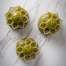 Load image into Gallery viewer, Matcha Latte and Strawberries Choux (Per Piece)